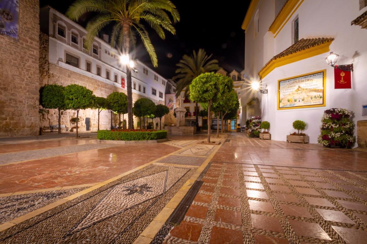 Apartment Banus - Centro Edificio Dona Ines *