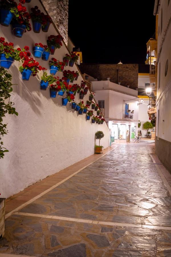 Apartment Banus - Centro Edificio Dona Ines